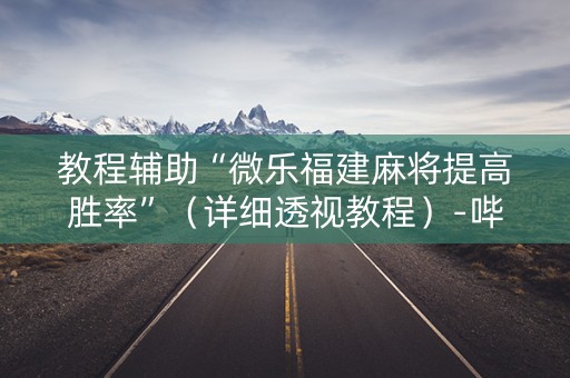 教程辅助“微乐福建麻将提高胜率”（详细透视教程）-哔哩哔哩