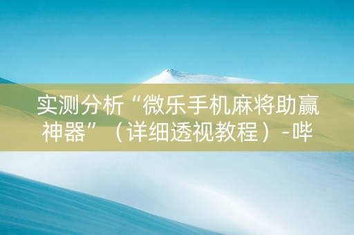 实测分析“微乐手机麻将助赢神器”（详细透视教程）-哔哩哔哩