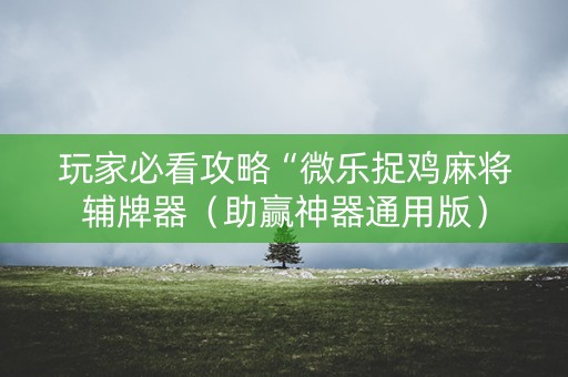 玩家必看攻略“微乐捉鸡麻将辅牌器（助赢神器通用版）