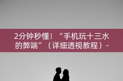 2分钟秒懂！“手机玩十三水的弊端”（详细透视教程）-哔哩哔哩