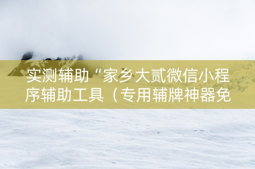 实测辅助“家乡大贰微信小程序辅助工具（专用辅牌神器免安装）