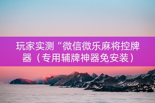 玩家实测“微信微乐麻将控牌器（专用辅牌神器免安装）
