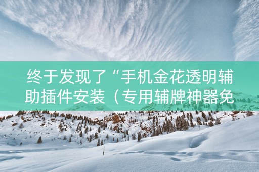 终于发现了“手机金花透明辅助插件安装（专用辅牌神器免安装）