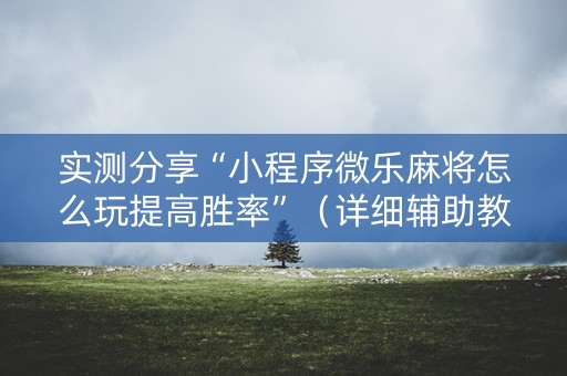 实测分享“小程序微乐麻将怎么玩提高胜率”（详细辅助教程）-哔哩哔哩