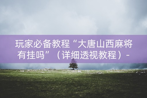 玩家必备教程“大唐山西麻将有挂吗”（详细透视教程）-哔哩哔哩