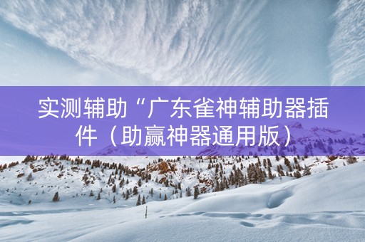 实测辅助“广东雀神辅助器插件（助赢神器通用版）