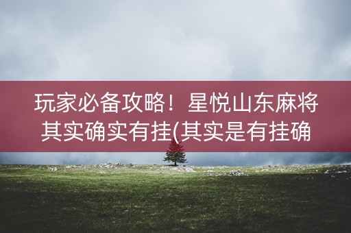 玩家必备攻略！星悦山东麻将其实确实有挂(其实是有挂确实有挂)