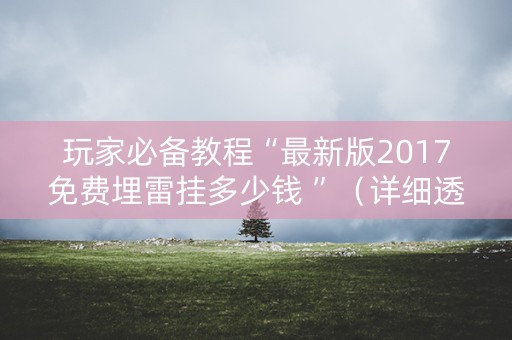 玩家必备教程“最新版2017免费埋雷挂多少钱 ”（详细透视教程）-哔哩哔哩