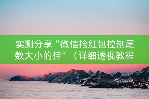 实测分享“微信抢红包控制尾数大小的挂”（详细透视教程）-哔哩哔哩