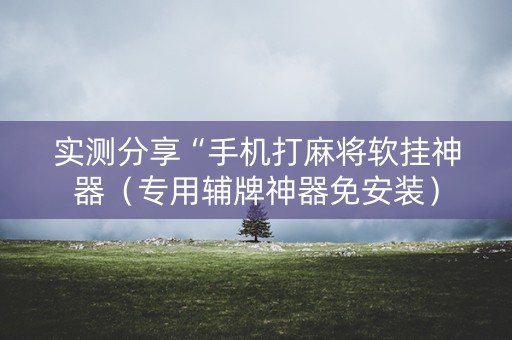 实测分享“手机打麻将软挂神器（专用辅牌神器免安装）