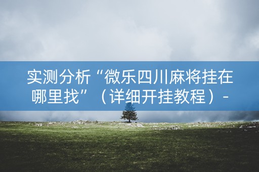实测分析“微乐四川麻将挂在哪里找”（详细开挂教程）-哔哩哔哩