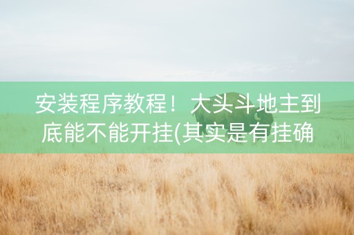 安装程序教程！大头斗地主到底能不能开挂(其实是有挂确实有挂)