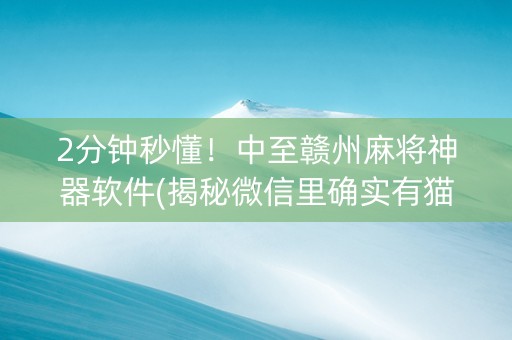 2分钟秒懂！中至赣州麻将神器软件(揭秘微信里确实有猫腻)