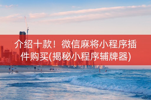 介绍十款！微信麻将小程序插件购买(揭秘小程序辅牌器)