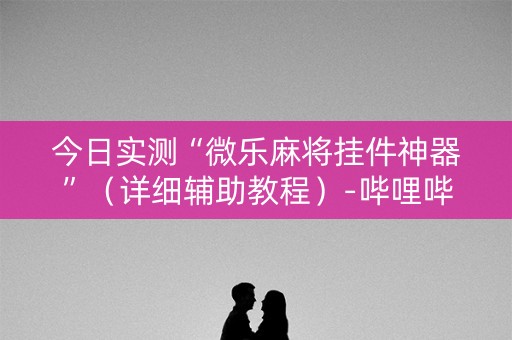 今日实测“微乐麻将挂件神器”（详细辅助教程）-哔哩哔哩