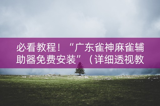 必看教程！“广东雀神麻雀辅助器免费安装”（详细透视教程）-哔哩哔哩