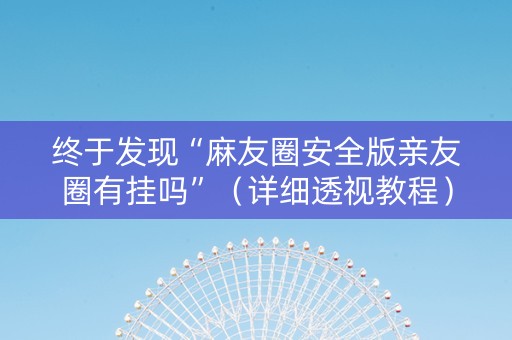 终于发现“麻友圈安全版亲友圈有挂吗”（详细透视教程）-哔哩哔哩