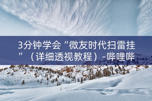 3分钟学会“微友时代扫雷挂”（详细透视教程）-哔哩哔哩