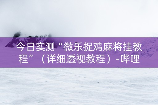 今日实测“微乐捉鸡麻将挂教程”（详细透视教程）-哔哩哔哩