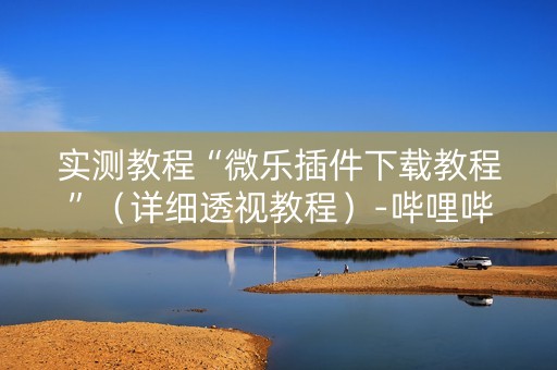 实测教程“微乐插件下载教程”（详细透视教程）-哔哩哔哩