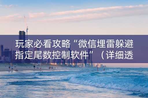 玩家必看攻略“微信埋雷躲避指定尾数控制软件”（详细透视教程）-哔哩哔哩