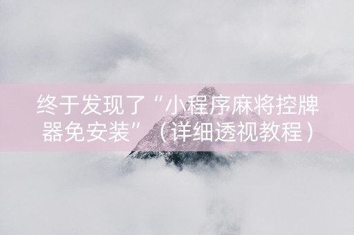 终于发现了“小程序麻将控牌器免安装”（详细透视教程）-哔哩哔哩