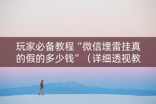 玩家必备教程“微信埋雷挂真的假的多少钱”（详细透视教程）-哔哩哔哩