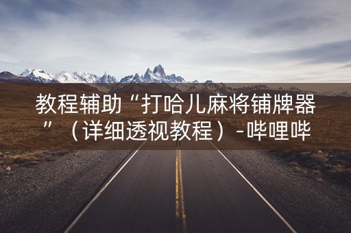 教程辅助“打哈儿麻将铺牌器”（详细透视教程）-哔哩哔哩