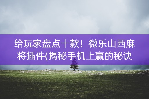 给玩家盘点十款！微乐山西麻将插件(揭秘手机上赢的秘诀)