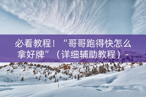 必看教程！“哥哥跑得快怎么拿好牌”（详细辅助教程）-哔哩哔哩