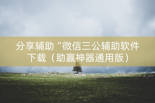 分享辅助“微信三公辅助软件下载（助赢神器通用版）