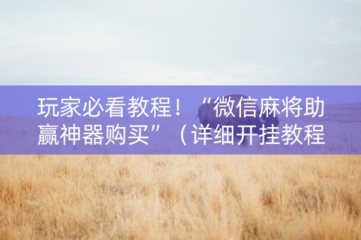 玩家必看教程！“微信麻将助赢神器购买”（详细开挂教程）-哔哩哔哩