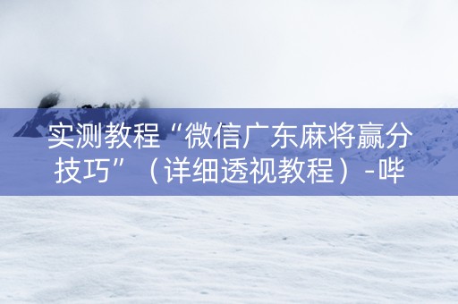 实测教程“微信广东麻将赢分技巧”（详细透视教程）-哔哩哔哩