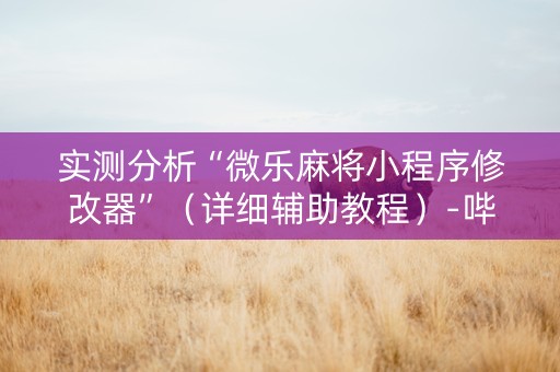 实测分析“微乐麻将小程序修改器”（详细辅助教程）-哔哩哔哩