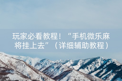玩家必看教程！“手机微乐麻将挂上去”（详细辅助教程）-哔哩哔哩