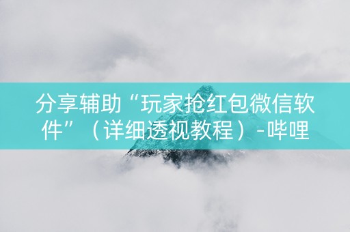分享辅助“玩家抢红包微信软件”（详细透视教程）-哔哩哔哩
