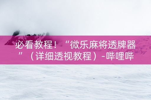 必看教程！“微乐麻将透牌器”（详细透视教程）-哔哩哔哩