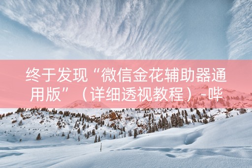 终于发现“微信金花辅助器通用版”（详细透视教程）-哔哩哔哩
