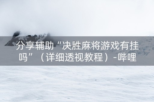 分享辅助“决胜麻将游戏有挂吗”（详细透视教程）-哔哩哔哩