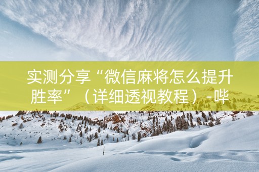 实测分享“微信麻将怎么提升胜率”（详细透视教程）-哔哩哔哩