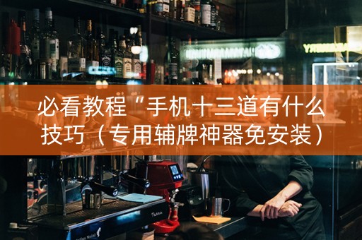 必看教程“手机十三道有什么技巧（专用辅牌神器免安装）