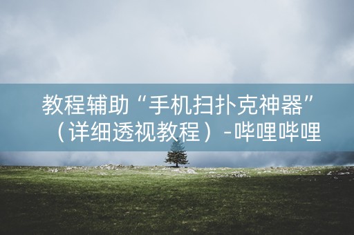 教程辅助“手机扫扑克神器”（详细透视教程）-哔哩哔哩
