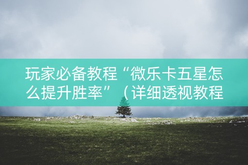 玩家必备教程“微乐卡五星怎么提升胜率”（详细透视教程）-哔哩哔哩