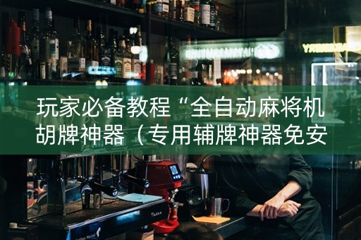 玩家必备教程“全自动麻将机胡牌神器（专用辅牌神器免安装）