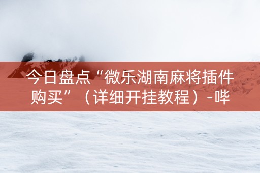 今日盘点“微乐湖南麻将插件购买”（详细开挂教程）-哔哩哔哩
