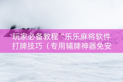 玩家必备教程“乐乐麻将软件打牌技巧（专用辅牌神器免安装）