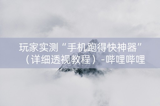 玩家实测“手机跑得快神器”（详细透视教程）-哔哩哔哩