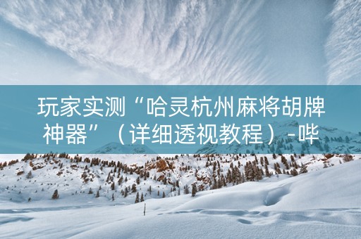 玩家实测“哈灵杭州麻将胡牌神器”（详细透视教程）-哔哩哔哩