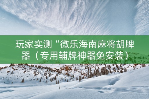 玩家实测“微乐海南麻将胡牌器（专用辅牌神器免安装）