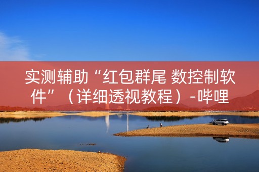实测辅助“红包群尾 数控制软件”（详细透视教程）-哔哩哔哩